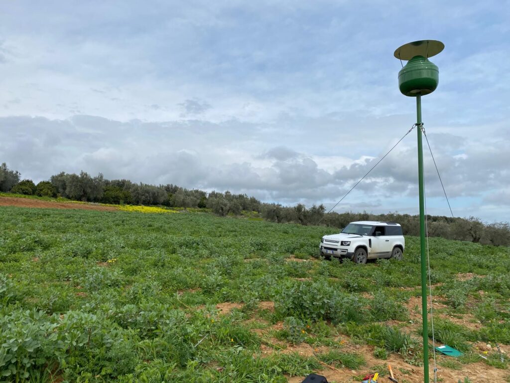 Feld für Limonenbäume mit Hydro Up Anlage