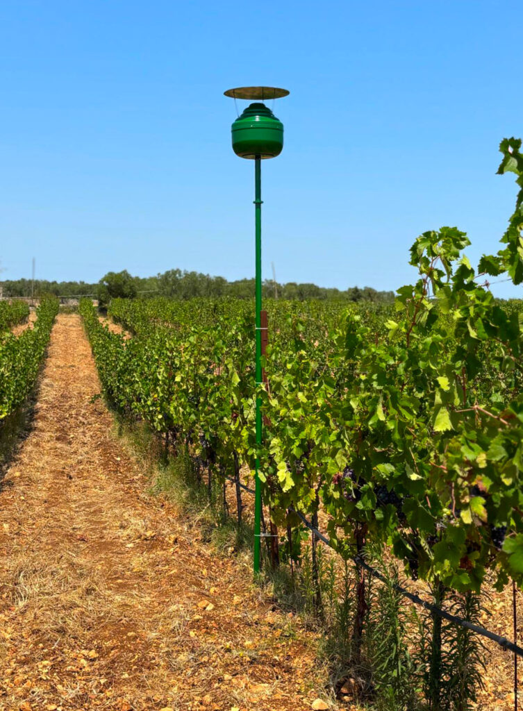 Weinplantage in Italien mit der Hydro Up Anlage Nahaufnahme der Anlage