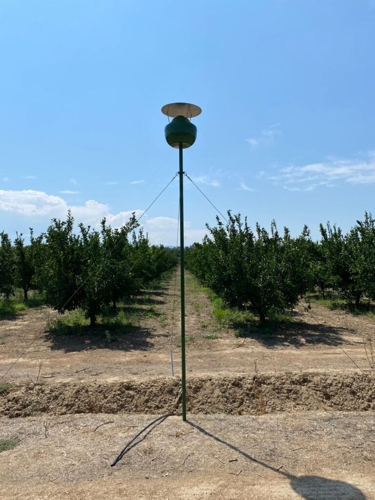 Mandarinenplantage in Italien mit der Hydro Up Anlage 4