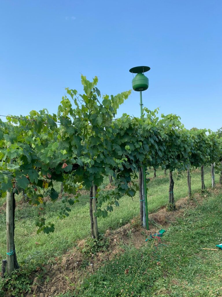 Weinplantage und Obstplantage mit der Hydro Up Anlage