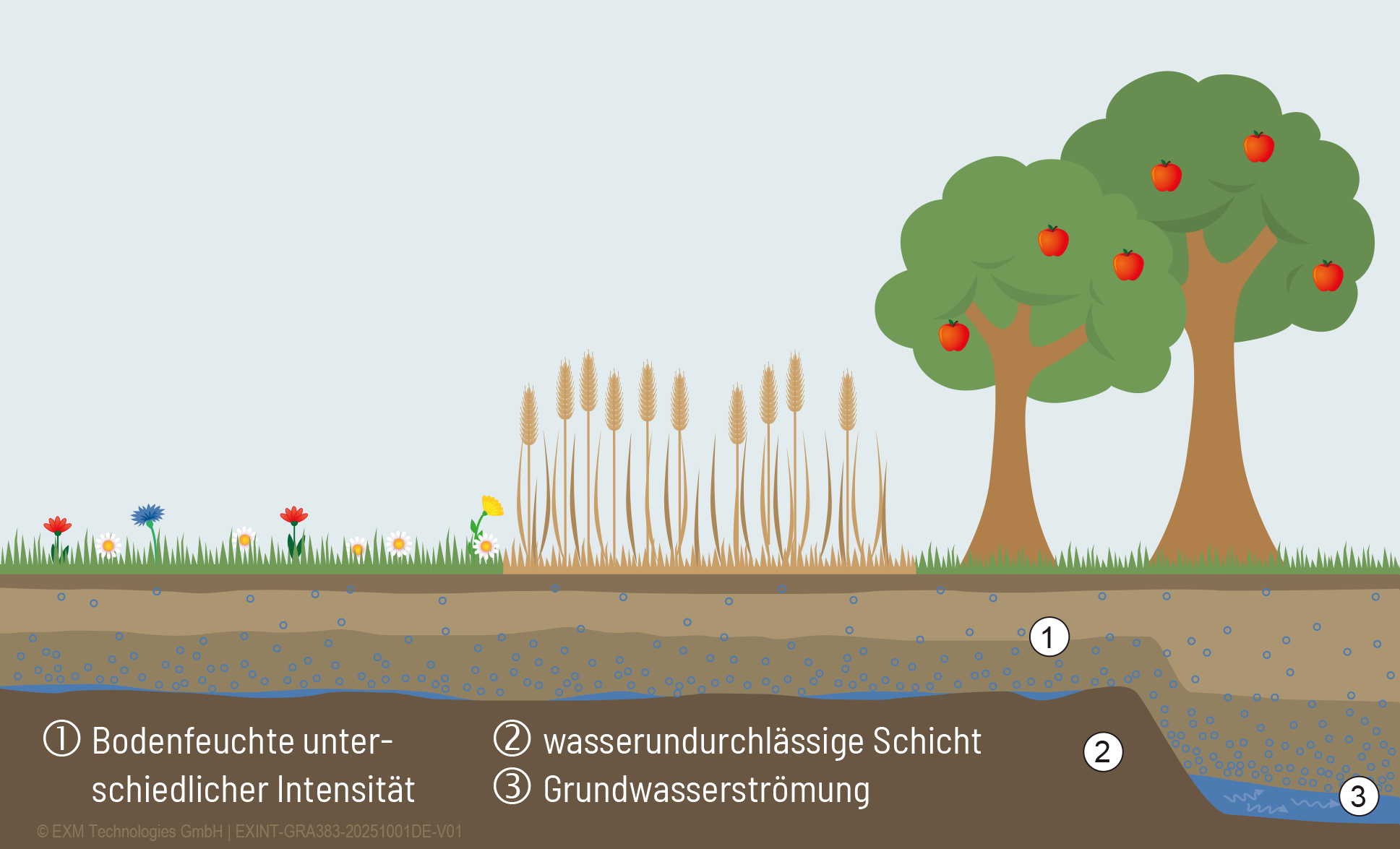 Hydro-Up Wirkungsweise Bodenschichten